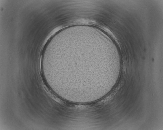 X0000083651227200703121737