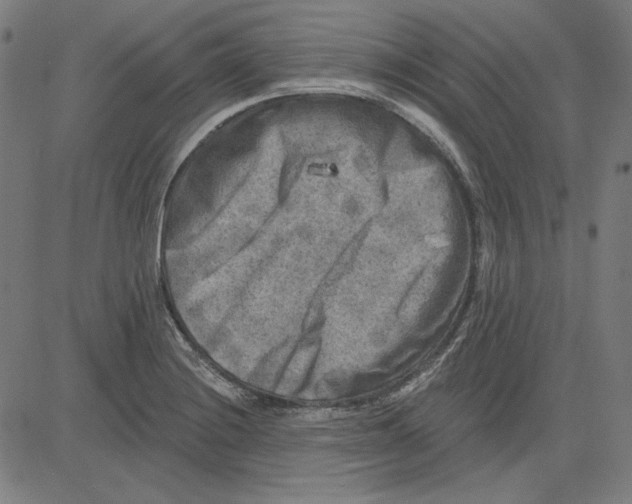 X0000083651228200703121737