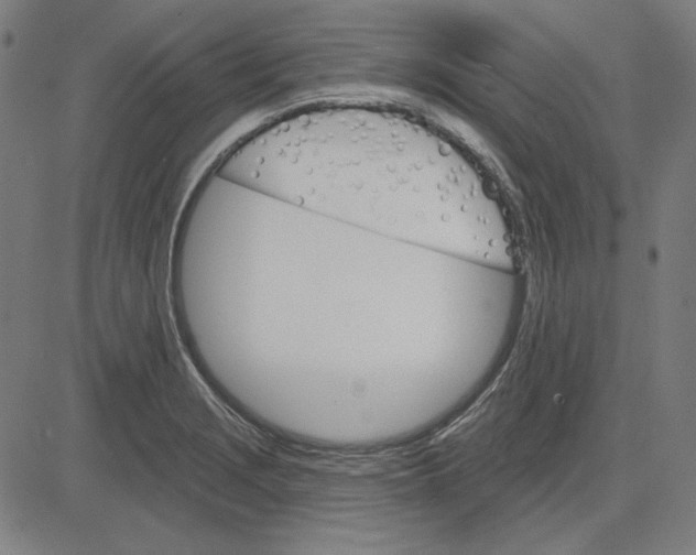 X0000083651229200703121737