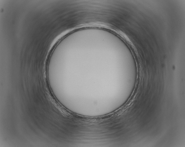 X0000083651230200703121737