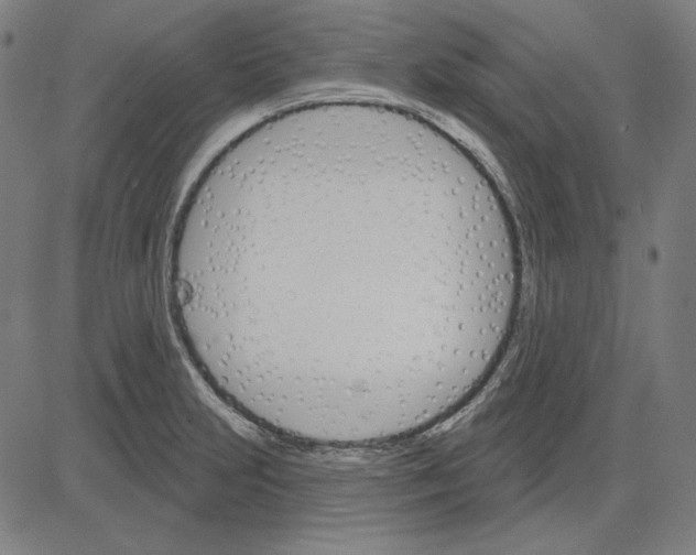 X0000083651231200703121737