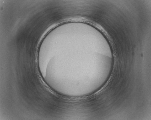 X0000083651232200703121737