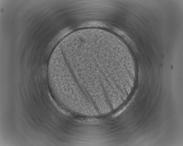 X0000083651233200703121737