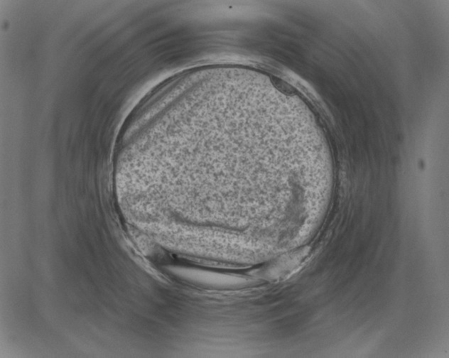 X0000083651236200703121737