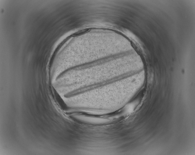 X0000083651238200703121737