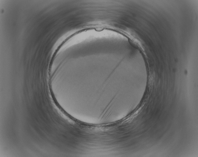 X0000083651239200703121737