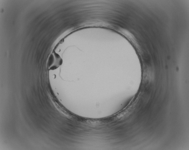 X0000083651242200703121737