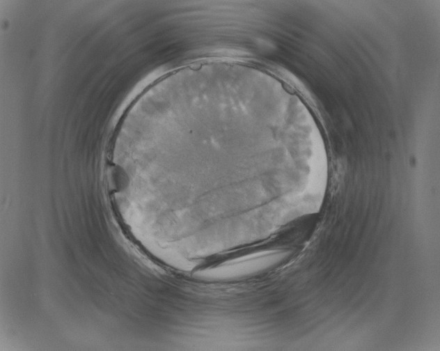 X0000083651243200703121737