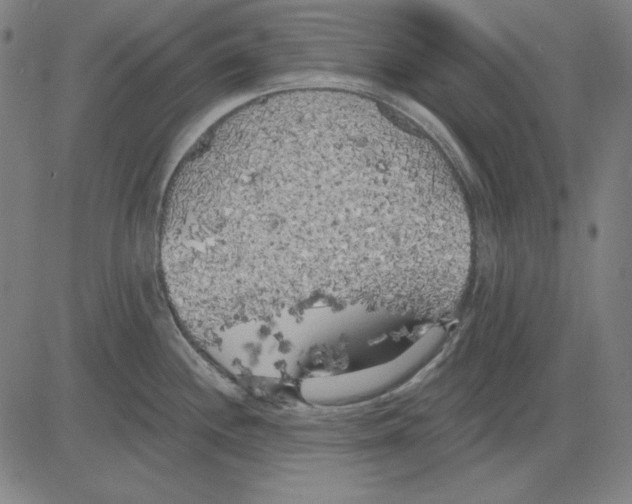 X0000083651244200703121737