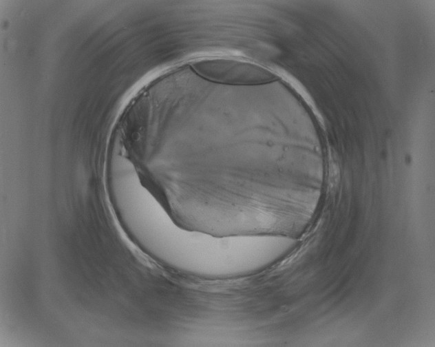 X0000083651245200703121737