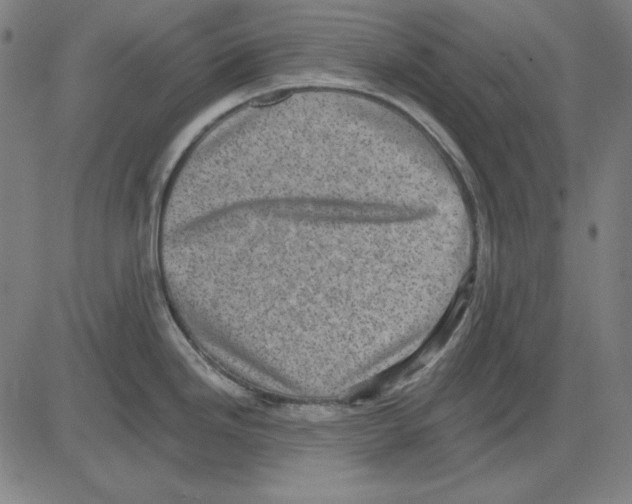 X0000083651246200703121737