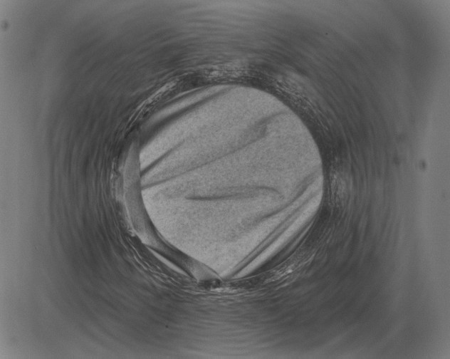 X0000083651250200703121736