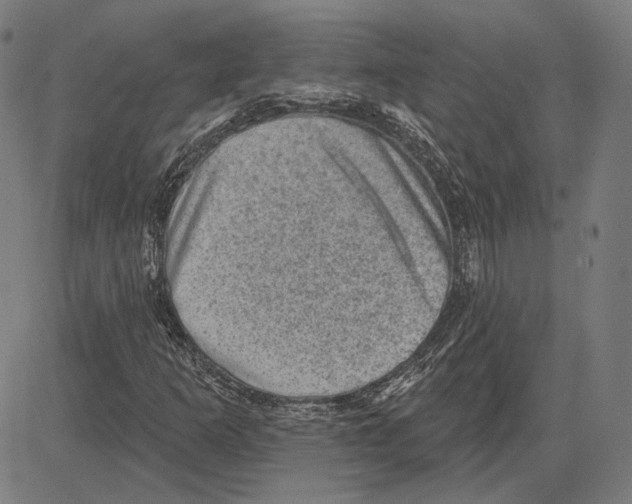 X0000083651253200703121736