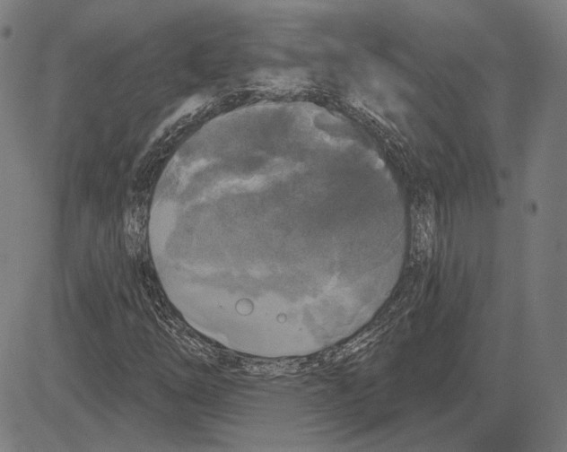 X0000083651254200703121736