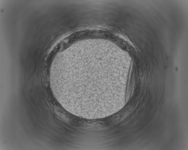 X0000083651256200703121736