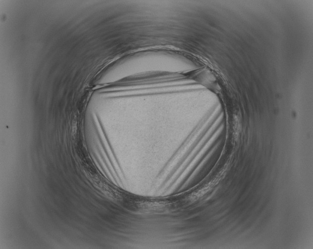 X0000083651257200703121736