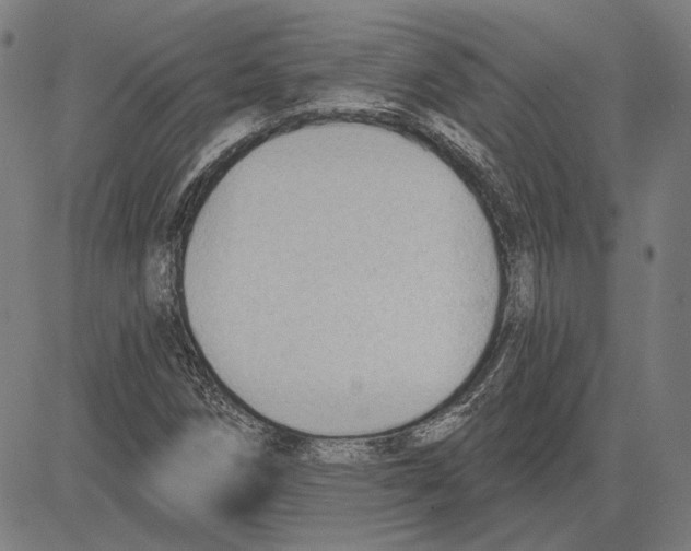 X0000083651258200703121736