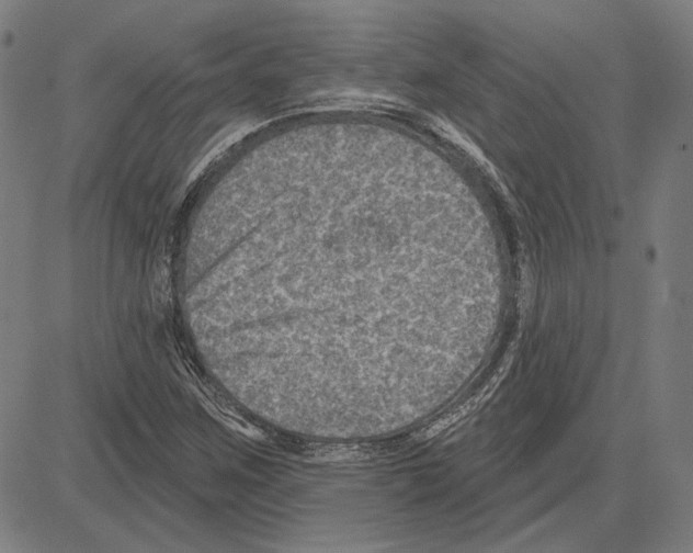 X0000083651259200703121736