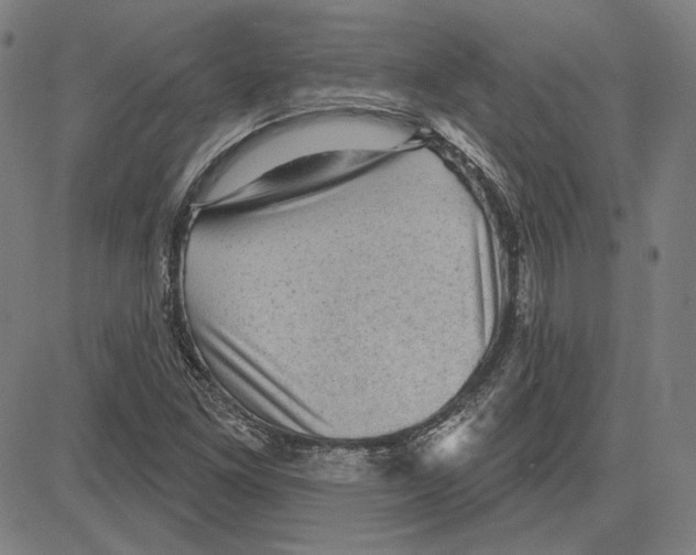 X0000083651261200703121736