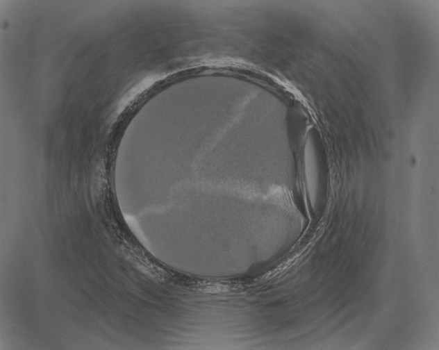 X0000083651263200703121736