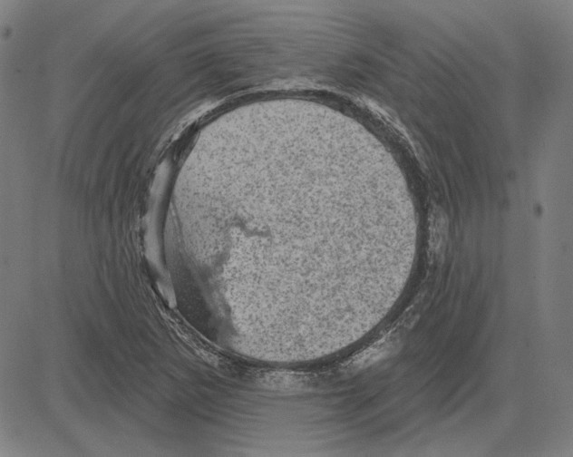 X0000083651265200703121736