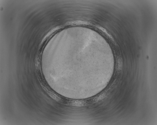 X0000083651266200703121736