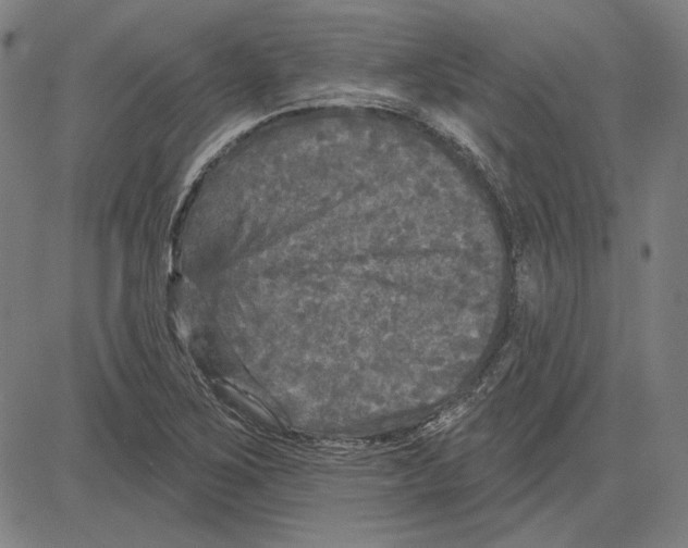 X0000083651267200703121736