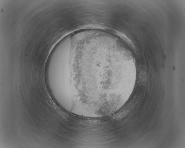 X0000083651268200703121736