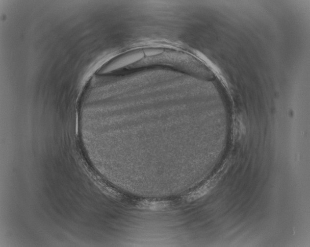 X0000083651269200703121736