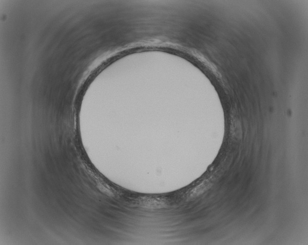 X0000083651270200703121736