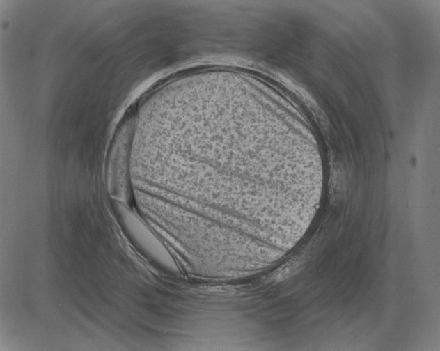 X0000083651272200703121736