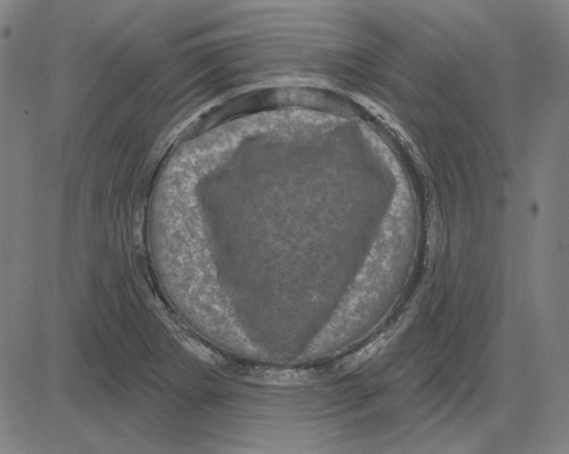 X0000083651273200703121736