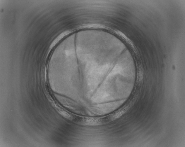 X0000083651274200703121736