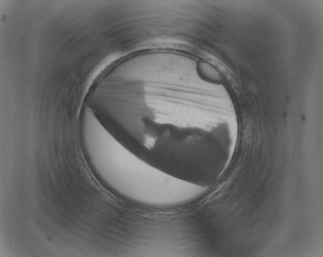 X0000083651275200703121736