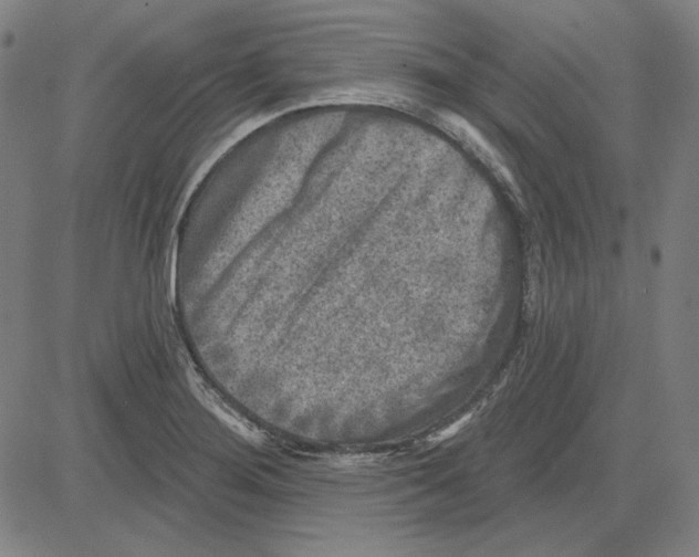 X0000083651276200703121736