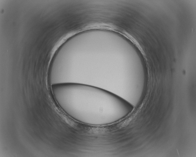 X0000083651277200703121736