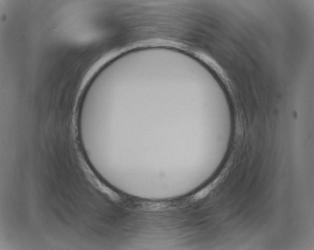 X0000083651278200703121736