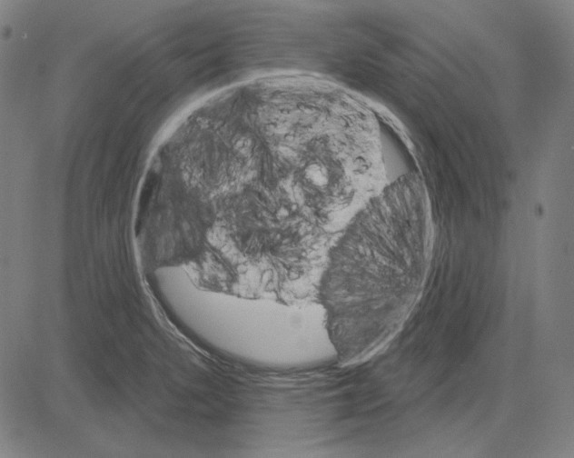 X0000083651279200703121736