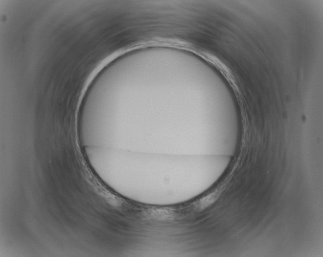 X0000083651280200703121736