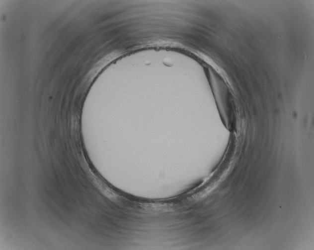 X0000083651281200703121736