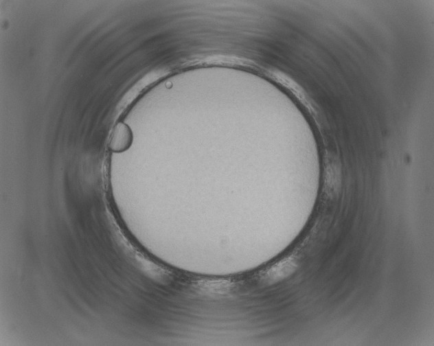 X0000083651282200703121736