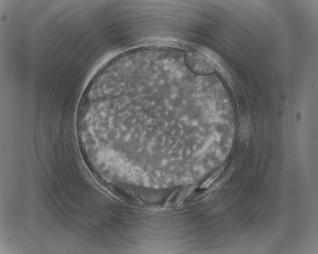 X0000083651283200703121736