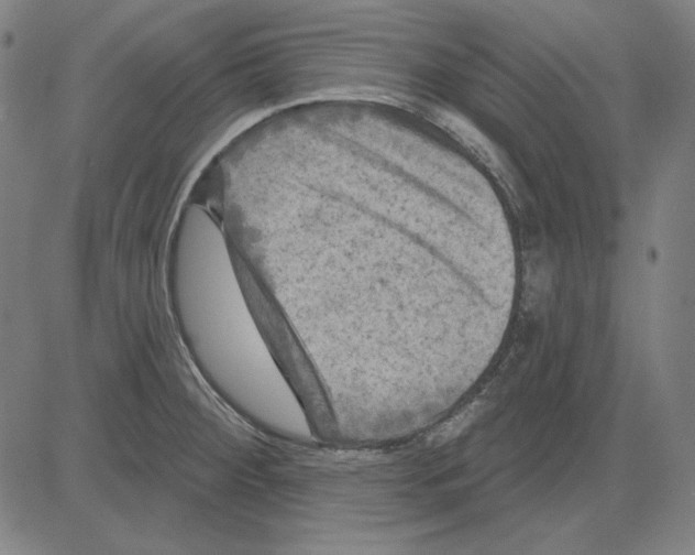 X0000083651284200703121736