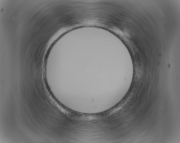 X0000083651286200703121736