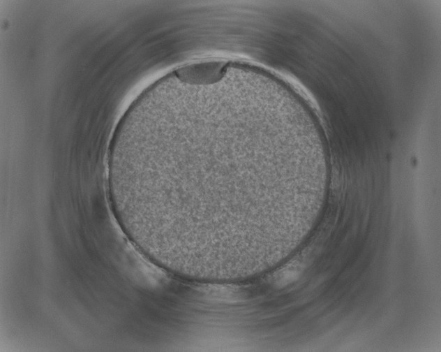 X0000083651287200703121736