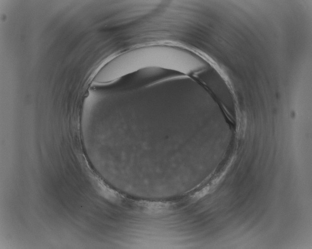 X0000083651289200703121736