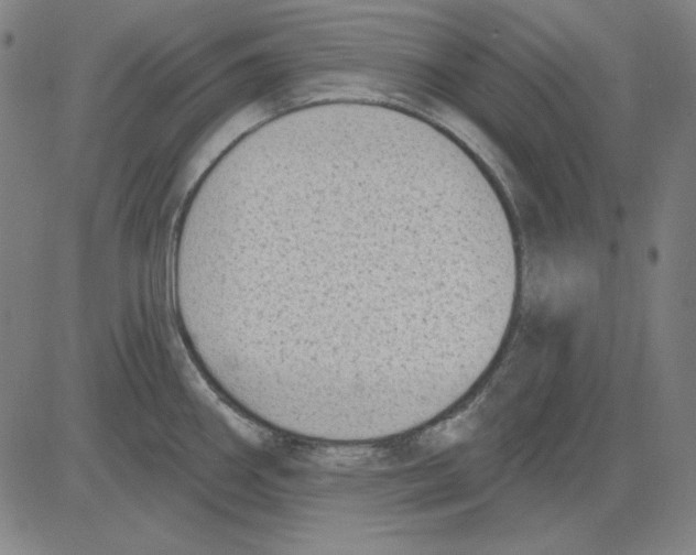 X0000083651290200703121736