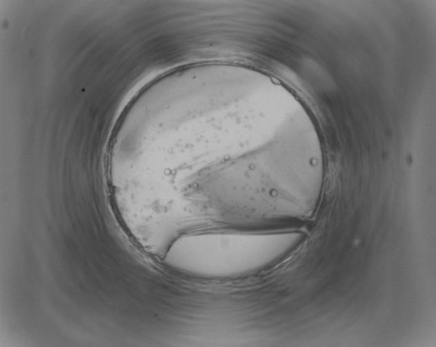 X0000083651291200703121736