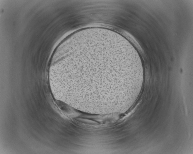 X0000083651292200703121736