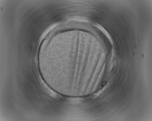 X0000083651293200703121736